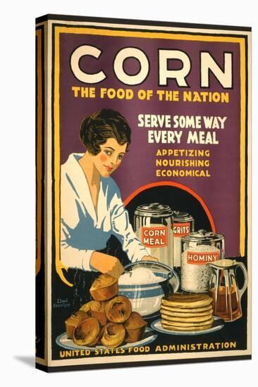 Stretched Canvas Print, , large