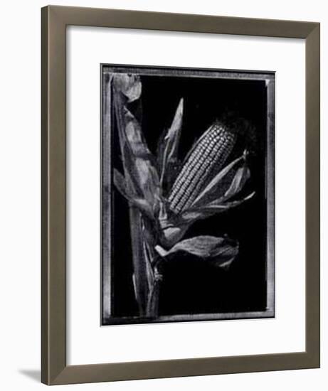 Corn-Augusto Camino-Framed Art Print