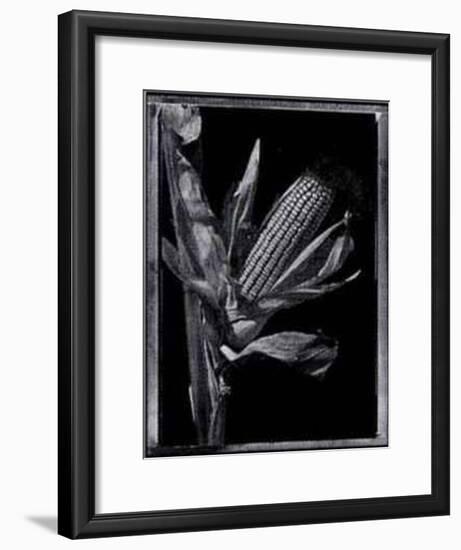 Corn-Augusto Camino-Framed Art Print