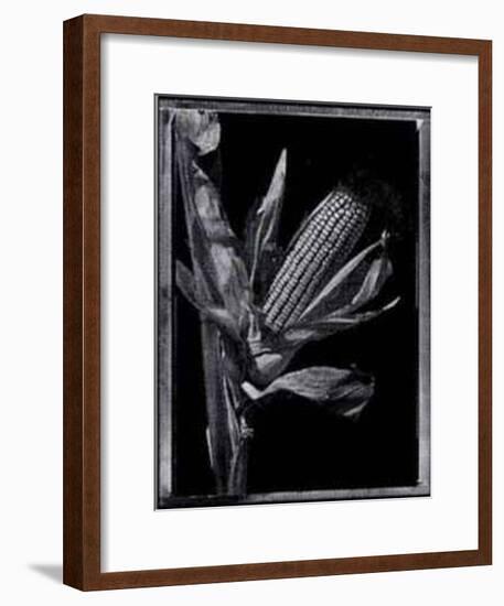 Corn-Augusto Camino-Framed Art Print