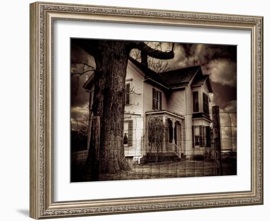 Corn-Stephen Arens-Framed Photographic Print