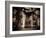 Corn-Stephen Arens-Framed Photographic Print