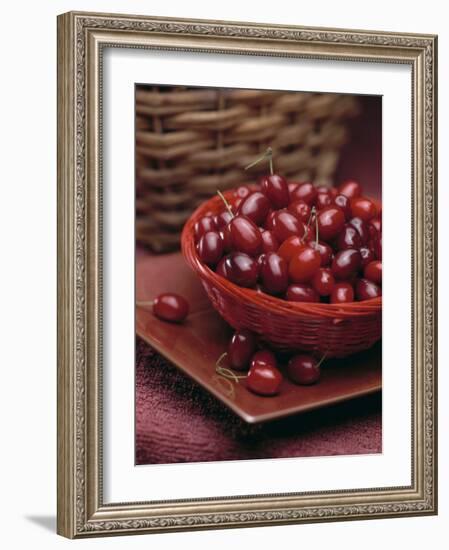 Cornel Cherries-Vladimir Shulevsky-Framed Photographic Print