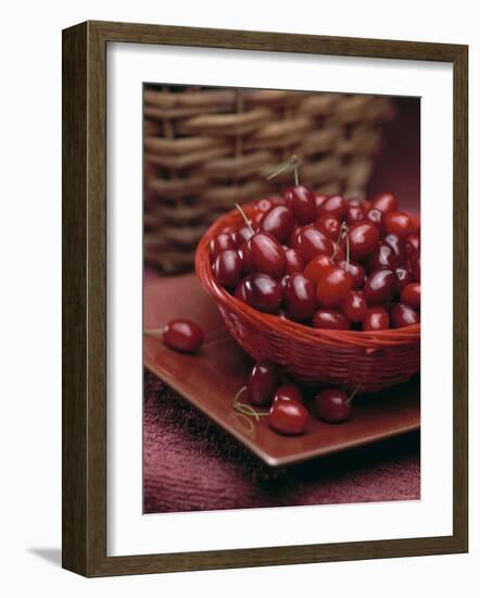 Cornel Cherries-Vladimir Shulevsky-Framed Photographic Print