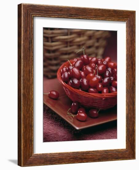 Cornel Cherries-Vladimir Shulevsky-Framed Photographic Print