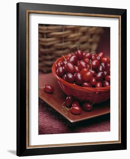 Cornel Cherries-Vladimir Shulevsky-Framed Photographic Print