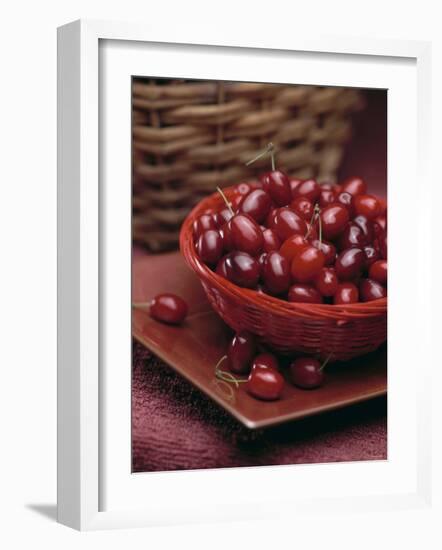 Cornel Cherries-Vladimir Shulevsky-Framed Photographic Print