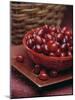 Cornel Cherries-Vladimir Shulevsky-Mounted Photographic Print