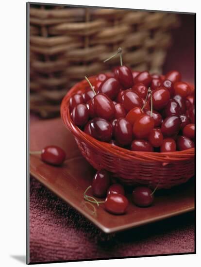 Cornel Cherries-Vladimir Shulevsky-Mounted Photographic Print