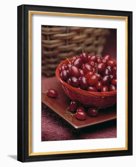 Cornel Cherries-Vladimir Shulevsky-Framed Photographic Print