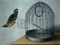 Parrot Outside His Cage-Cornelis Biltius-Framed Premier Image Canvas