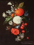 Peaches, Oranges, Grapes and Langoustines on a Pewter Plate and a Conical Roemer on a Box on a…-Cornelis De Heem-Giclee Print