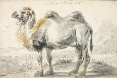 Greyhound, 1644-Cornelis Saftleven-Giclee Print