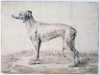 A Camel-Cornelis Saftleven-Giclee Print