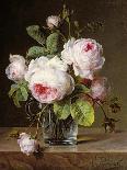 Roses in a Glass Vase on a Ledge-Cornelis van Spaendonck-Giclee Print