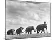 Photographic Print