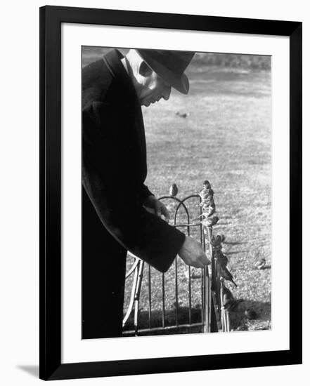 Photographic Print, , large