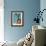 Corner Baby Blue Eye-Belen Mena-Framed Giclee Print displayed on a wall
