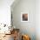 'Corner of a lounge in a London flat by Ian Henderson', c1945-Unknown-Framed Photographic Print displayed on a wall