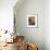 'Corner of a lounge in a London flat by Ian Henderson', c1945-Unknown-Framed Photographic Print displayed on a wall