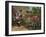 Corner of Monsieur De La Bruyere's Garden, 1744-Jean-Baptiste Oudry-Framed Giclee Print