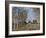 Corner of the Wood Close to Fontainbleau, 1883-Alfred Sisley-Framed Giclee Print