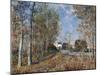 Corner of the Wood Close to Fontainbleau, 1883-Alfred Sisley-Mounted Giclee Print