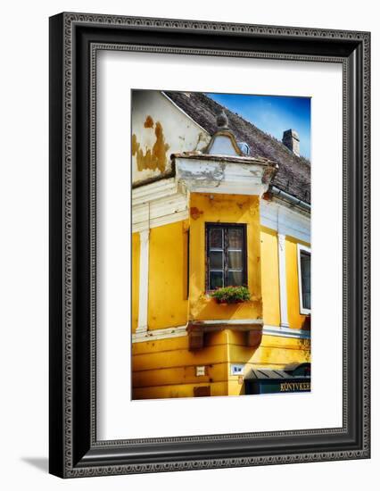 Corner Window With Flowers, Szentendre, Hungary-George Oze-Framed Photographic Print