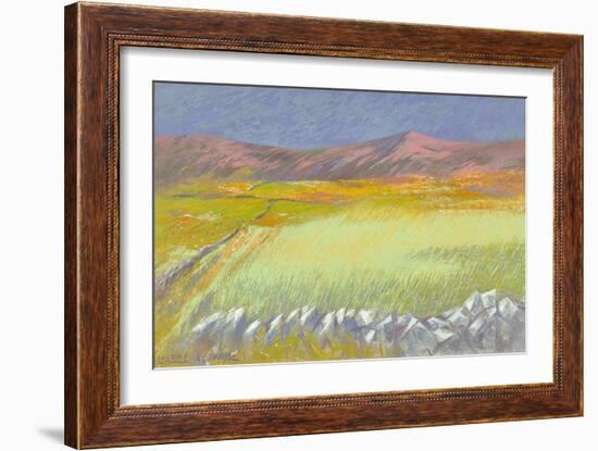 Cornfield, Isle of Coll, 1971-Isabel Alexander-Framed Giclee Print