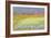 Cornfield, Isle of Coll, 1971-Isabel Alexander-Framed Giclee Print