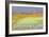 Cornfield, Isle of Coll, 1971-Isabel Alexander-Framed Giclee Print