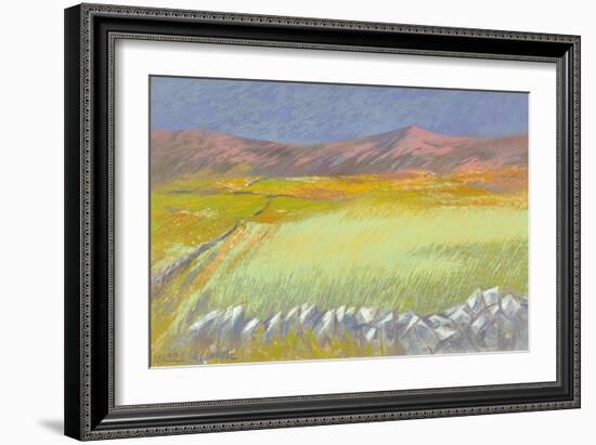 Cornfield, Isle of Coll, 1971-Isabel Alexander-Framed Giclee Print