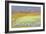 Cornfield, Isle of Coll, 1971-Isabel Alexander-Framed Giclee Print