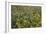 Cornfield Meadow In France-Bob Gibbons-Framed Photographic Print