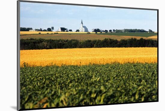 Cornfield with Church in Background-null-Mounted Photographic Print