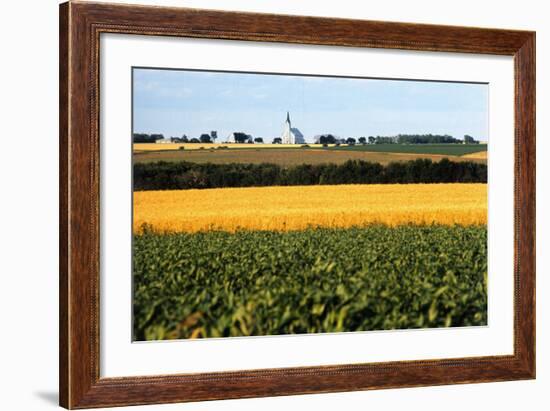 Cornfield with Church in Background-null-Framed Photographic Print