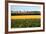 Cornfield with Church in Background-null-Framed Photographic Print