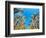 Cornfield-null-Framed Photographic Print