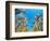 Cornfield-null-Framed Photographic Print