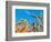 Cornfield-null-Framed Photographic Print