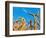 Cornfield-null-Framed Photographic Print