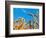 Cornfield-null-Framed Photographic Print