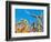 Cornfield-null-Framed Photographic Print