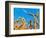 Cornfield-null-Framed Photographic Print