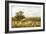 Cornfield-George Turner-Framed Giclee Print