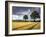 Cornfields, Exe Valley, Devon, England, United Kingdom, Europe-Jeremy Lightfoot-Framed Photographic Print