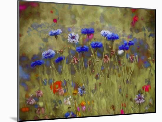 Cornflower Blue painting-Helen White-Mounted Giclee Print