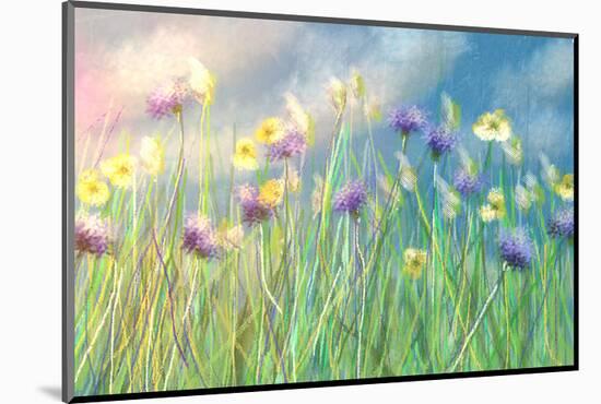 Cornflower Meadow-Claire Westwood-Mounted Art Print
