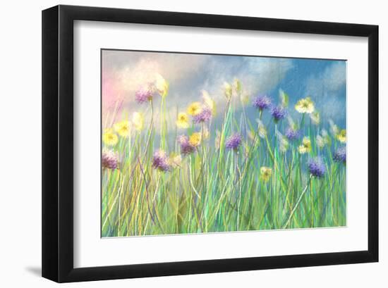 Cornflower Meadow-Claire Westwood-Framed Art Print