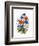 Cornflower, Poppy and Ox-Eye Daisy-Nell Hill-Framed Giclee Print